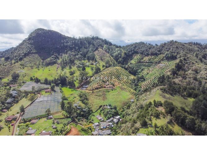 Finca en venta en Lejos Del Nido, El Retiro, 800 m² · foto 6 de 13