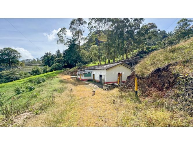 Finca en venta en Lejos Del Nido, El Retiro, 800 m² · foto 7 de 13