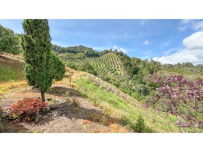 Finca en venta en Lejos Del Nido, El Retiro, 800 m² · foto 8 de 13