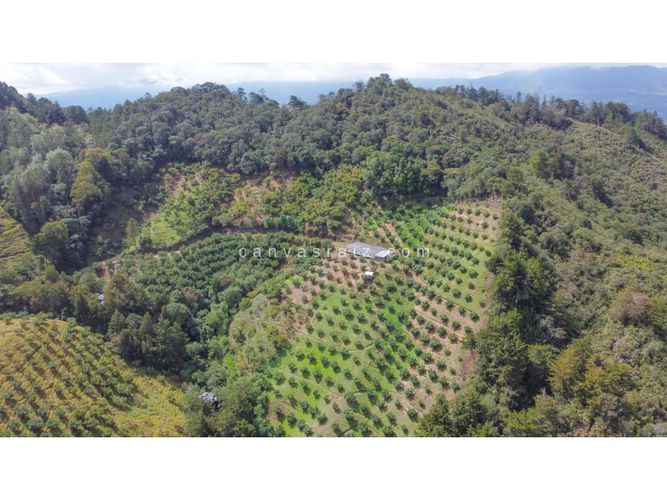 Finca en venta en Lejos Del Nido, El Retiro, 800 m² · foto 10 de 13