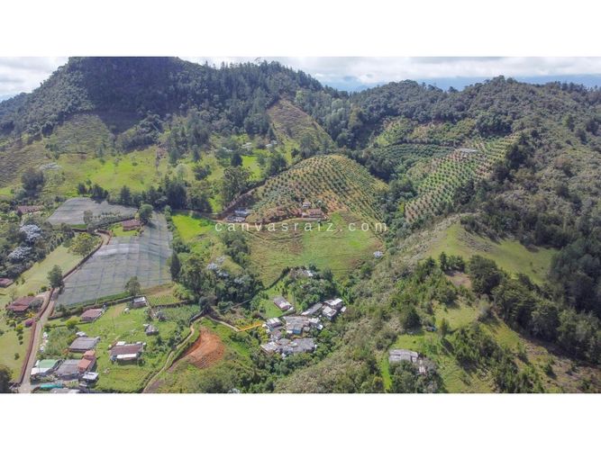 Finca en venta en Lejos Del Nido, El Retiro, 800 m² · foto 11 de 13