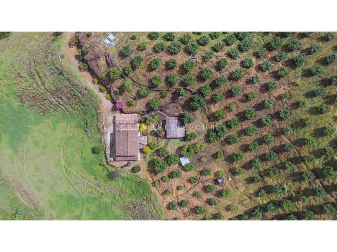 Finca en venta en Lejos Del Nido, El Retiro, 800 m² · foto 13 de 13