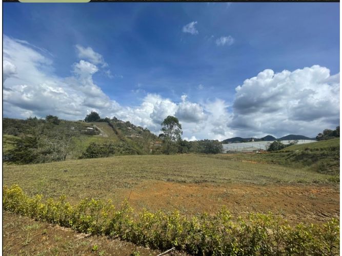 Lote en venta en El Carmen de Viboral, 2000 m² · foto 3 de 6