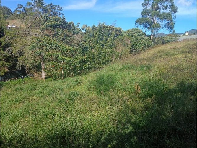 Lote en venta en El Carmen de Viboral, 2000 m² · foto 5 de 6