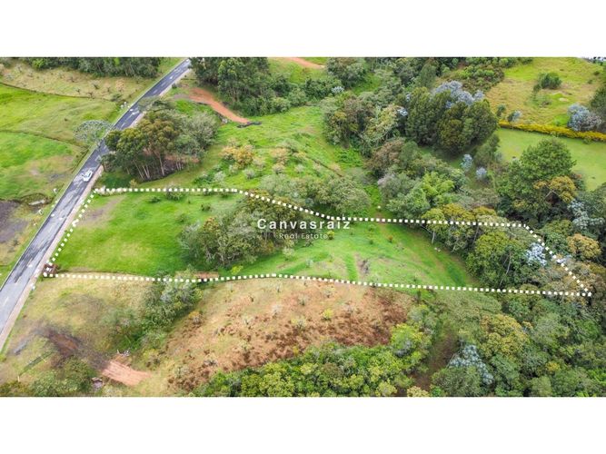 Lote en venta en Guamito, La Ceja, 4617 m² · foto 4 de 6