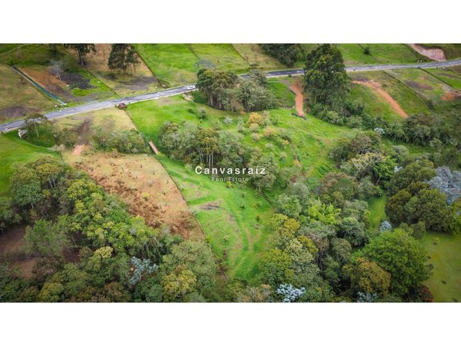 Lote en venta en Guamito, La Ceja, 4617 m² · foto 5 de 6