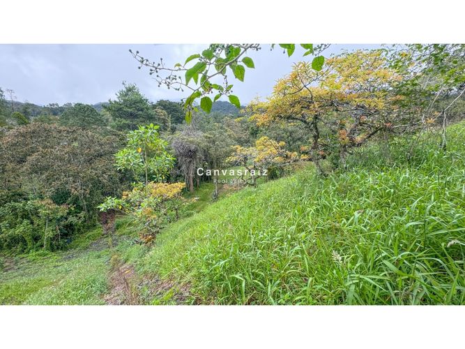 Lote en venta en La Ceja, 3023 m² · foto 3 de 7