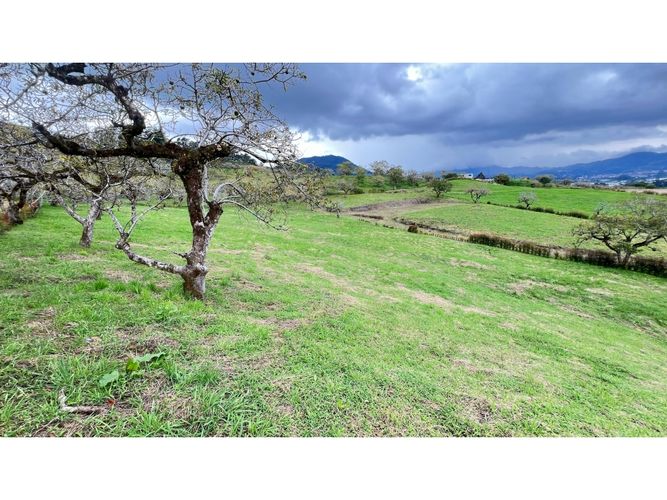 Lote en venta en San Miguel, La Ceja, 2614 m² · foto 2 de 5