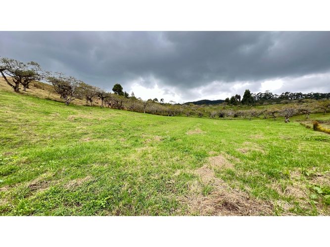 Lote en venta en San Miguel, La Ceja, 2614 m² · foto 4 de 5