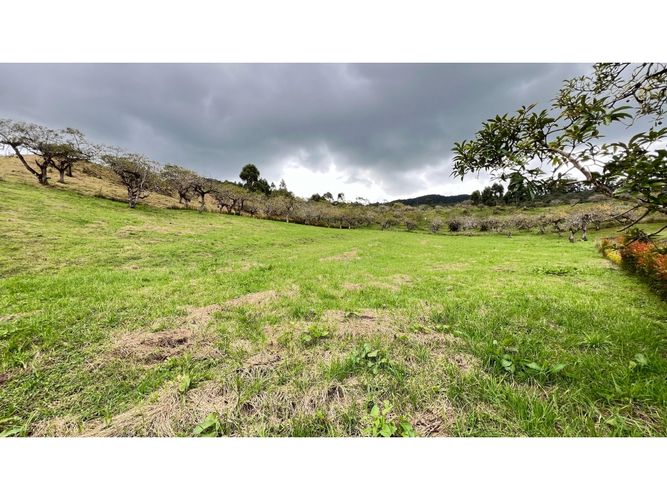 Lote en venta en San Miguel, La Ceja, 2614 m² · foto 5 de 5