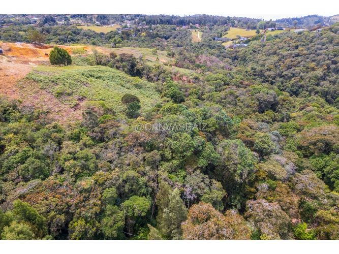 Lote en venta en Las Palmas, Envigado, 1945 m² · foto 5 de 6
