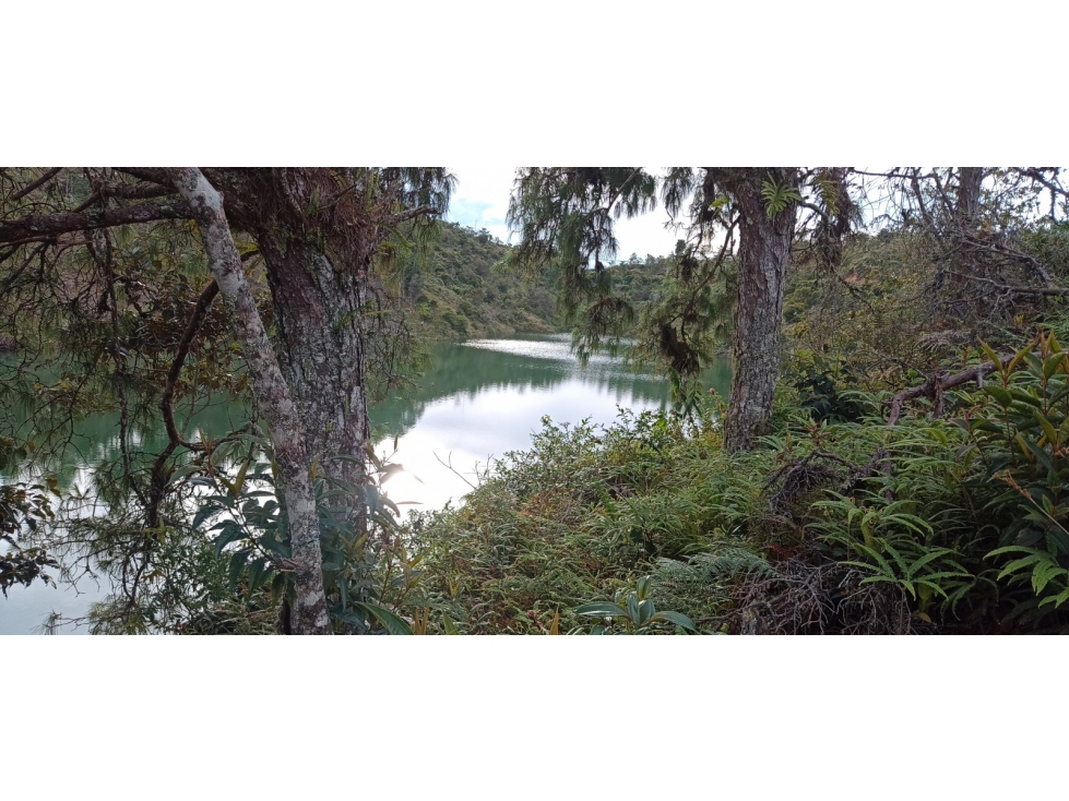 Land in Los naranjos for Sale