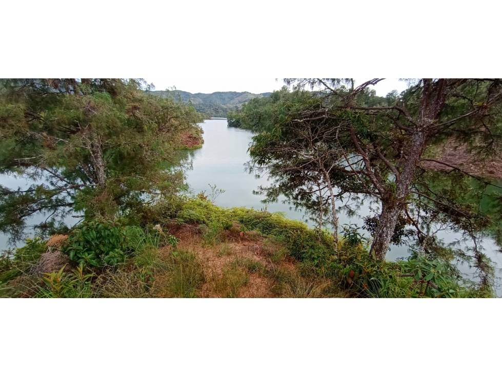 Land in Los naranjos for Sale - 2