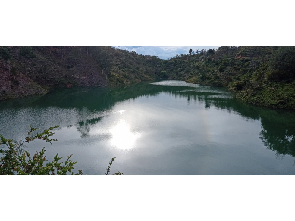 Land in Los naranjos for Sale - 3