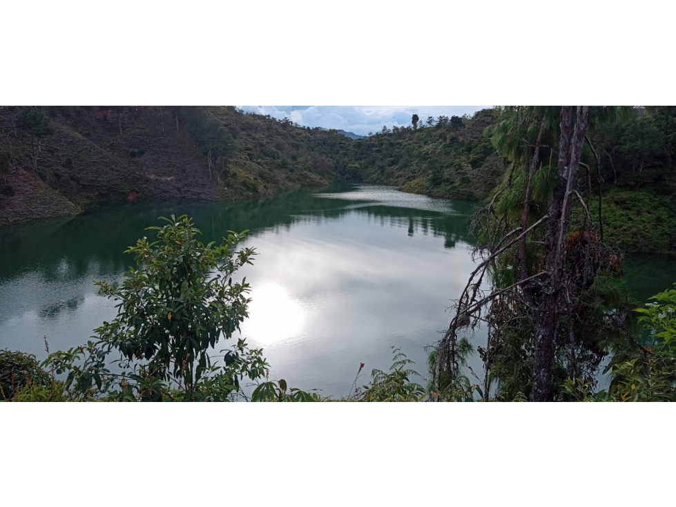 Land in Los naranjos for Sale - 4