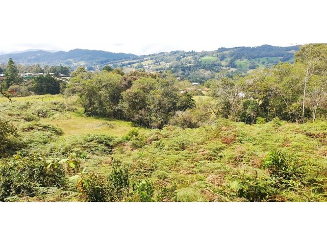 Lote en venta en Las Palmas, Envigado, 8300 m² · foto 2 de 6