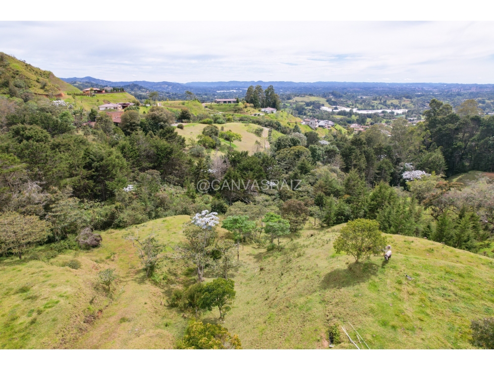 Land in Pontezuela for Sale - 2