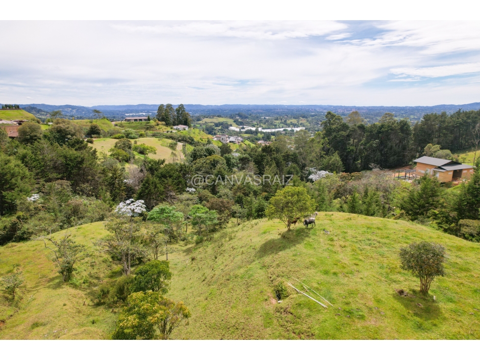 Land in Pontezuela for Sale - 3