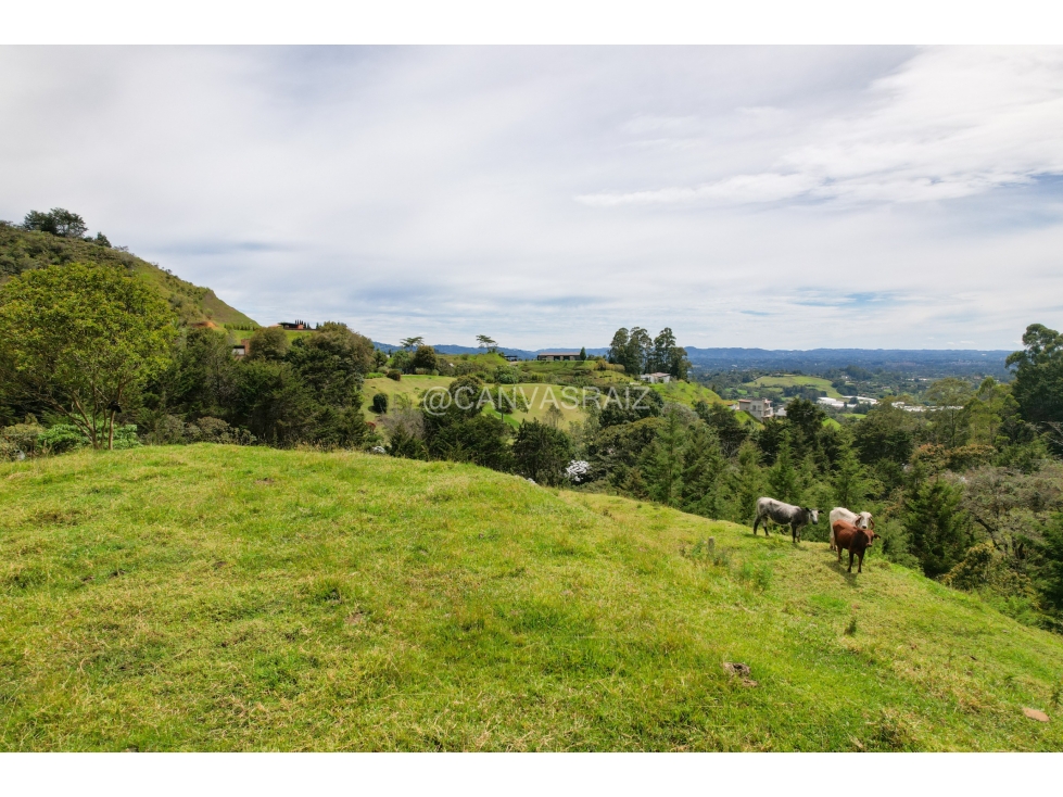 Land in Pontezuela for Sale - 4