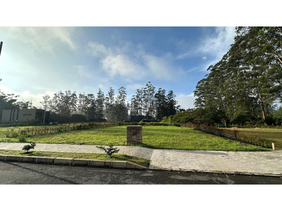 Land in Llano Grande (645 m²) for Sale - 4