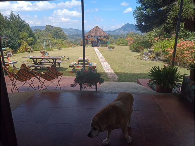 Finca en venta en Lomitas, La Ceja, 315 m² · foto 5 de 23