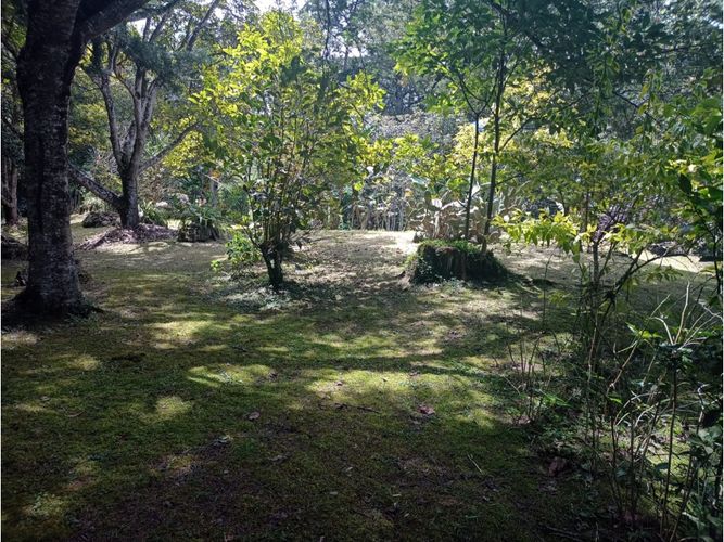 Finca en venta en Lomitas, La Ceja, 315 m² · foto 15 de 23