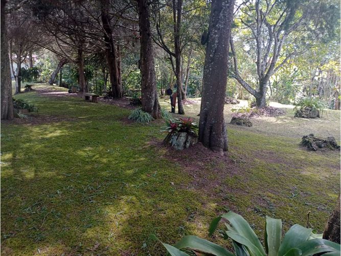 Finca en venta en Lomitas, La Ceja, 315 m² · foto 16 de 23