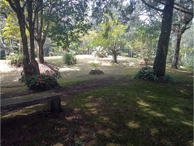 Finca en venta en Lomitas, La Ceja, 315 m² · foto 17 de 23