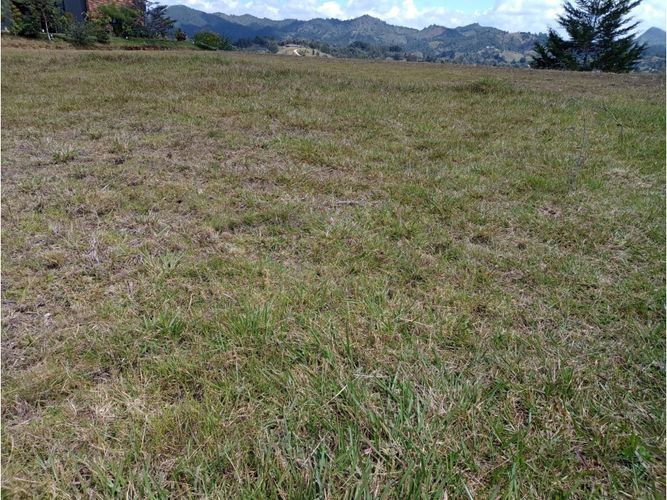 Lote en venta en Pantanillo, El Retiro, 3252 m² · foto 3 de 8