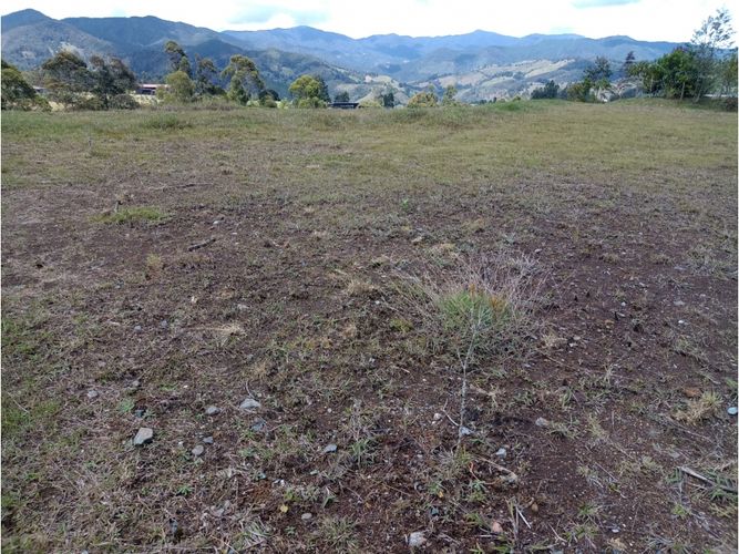 Lote en venta en Pantanillo, El Retiro, 3252 m² · foto 4 de 8