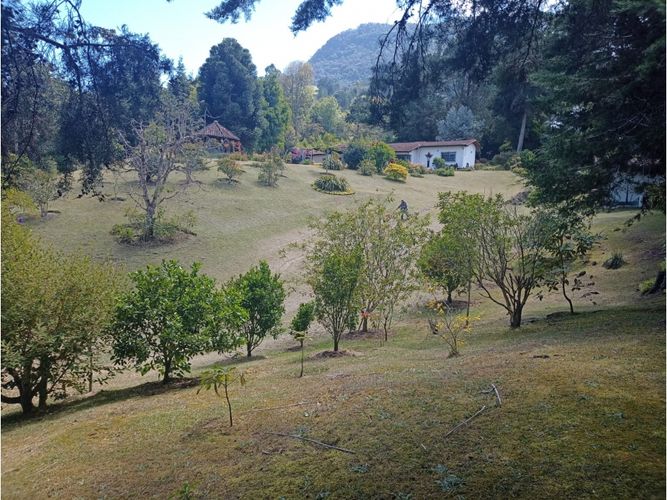 Finca en venta en Lomitas, La Ceja, 315 m² · foto 20 de 23