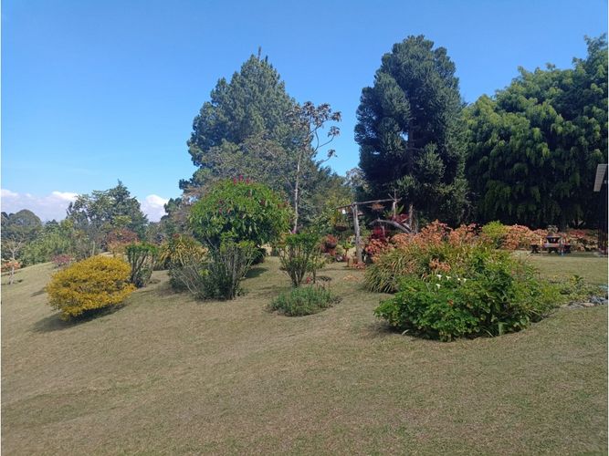 Finca en venta en Lomitas, La Ceja, 315 m² · foto 23 de 23