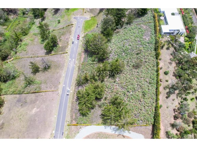 Lote en venta en Quirama, El Carmen de Viboral, 2580 m² · foto 10 de 10