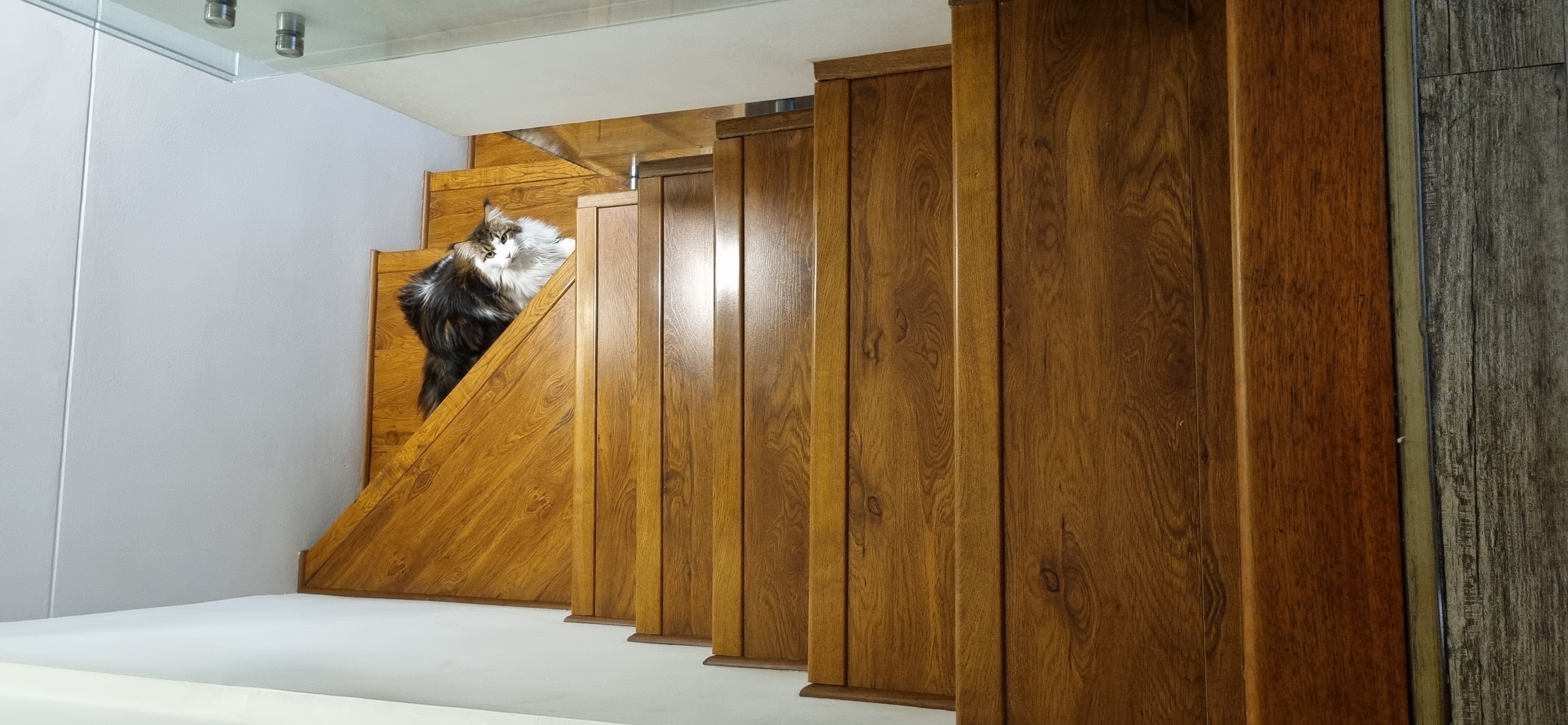 Apartamento en venta en San Patricio, Bogotá · foto 23 de 23