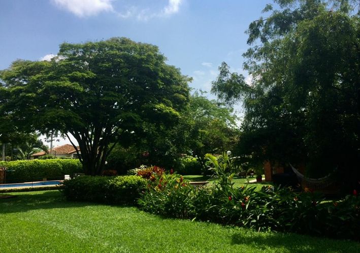 Casa de 4 alcobas en venta en Pance, Cali, 315 m² · foto 4 de 21