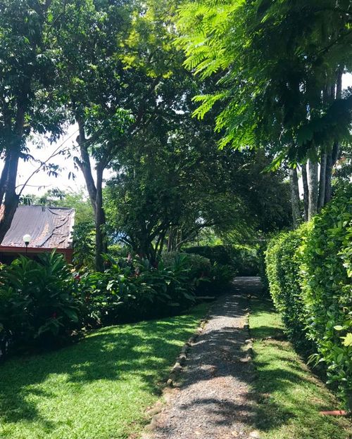 Casa de 4 alcobas en venta en Pance, Cali, 315 m² · foto 8 de 21