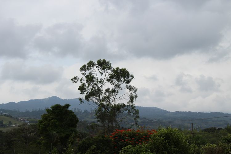 Finca en venta en Arboleda, Yumbo, 2000 m² · foto 15 de 22