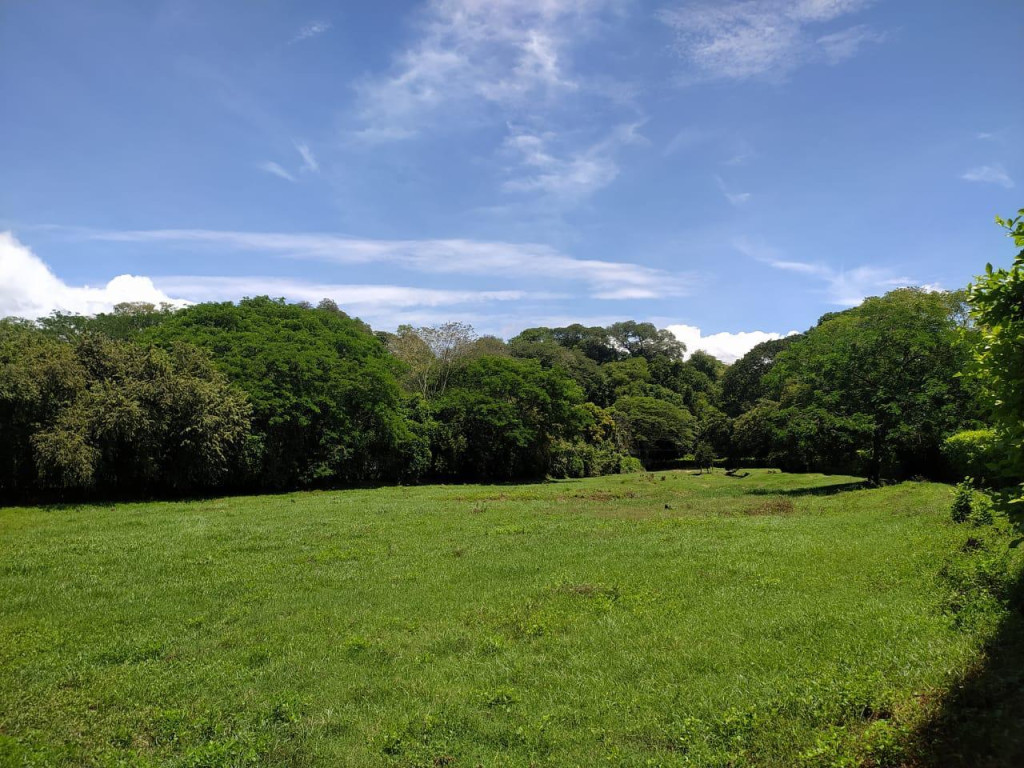 Land in Santafe de antioquia for Sale