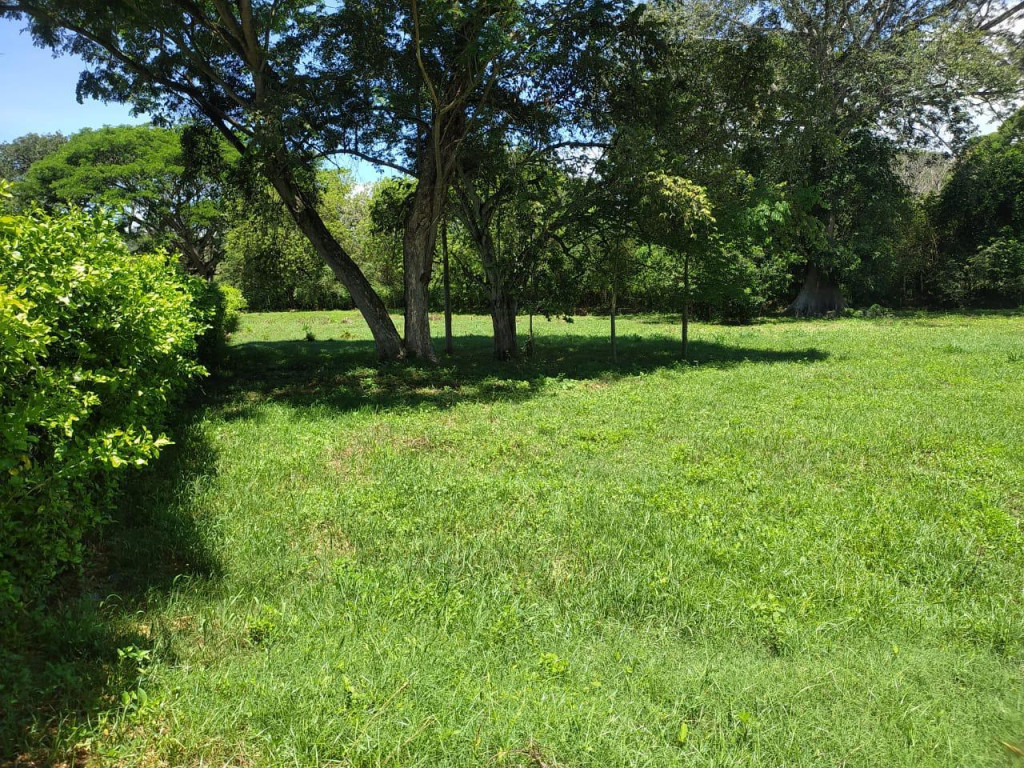 Land in Santafe de antioquia for Sale - 2