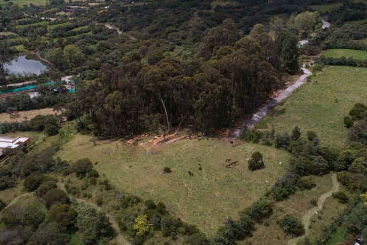 Lote en venta en Marquez, La Calera, 2500 m² · foto 4 de 24