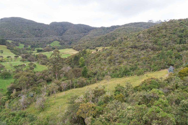 Lote en venta en Marquez, La Calera, 2500 m² · foto 10 de 24