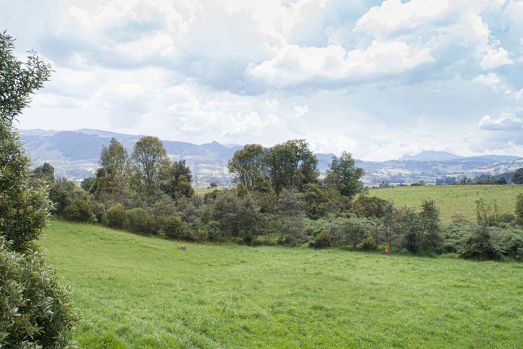 Lote en venta en Marquez, La Calera, 2500 m² · foto 14 de 24