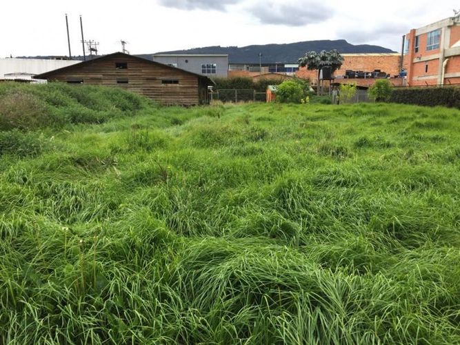 Lote en venta en Samaria, Chía, 4164 m² · foto 4 de 7