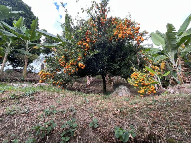 Finca en venta en San Francisco, Soacha, 60 m² · foto 11 de 12