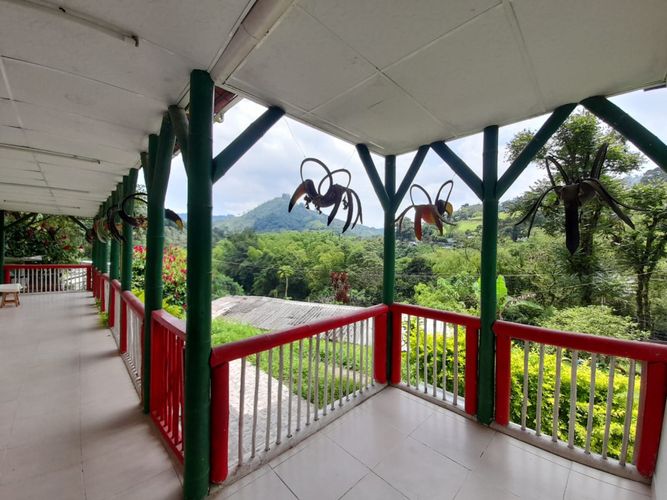 Finca en arriendo en La Florida, Pereira, 423 m² · foto 5 de 13