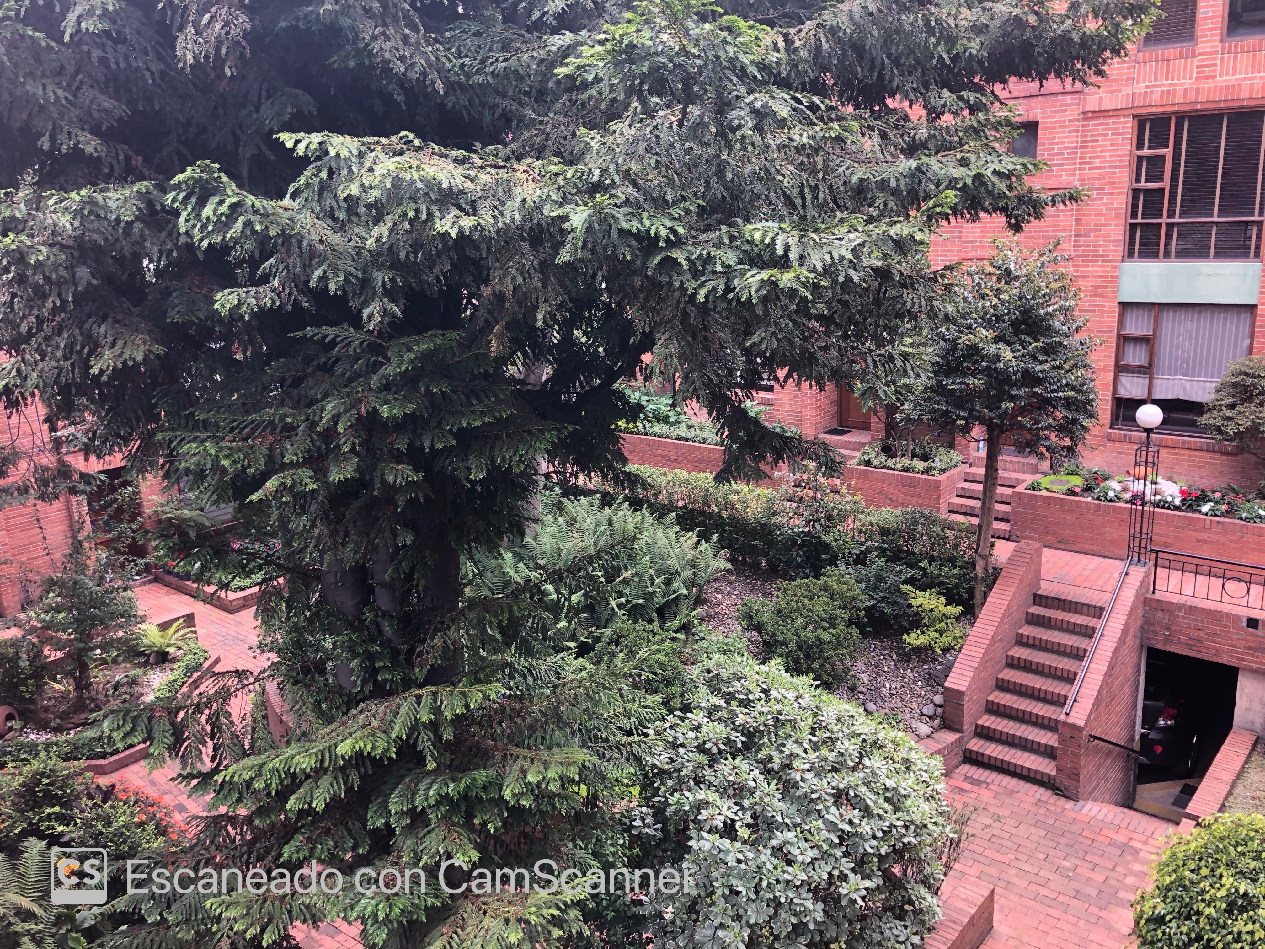 Casa en venta en Cedritos, Bogotá · foto 11 de 20