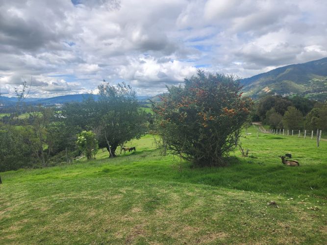 Casa de 3 alcobas en venta en La Violeta, Sopó · foto 14 de 22