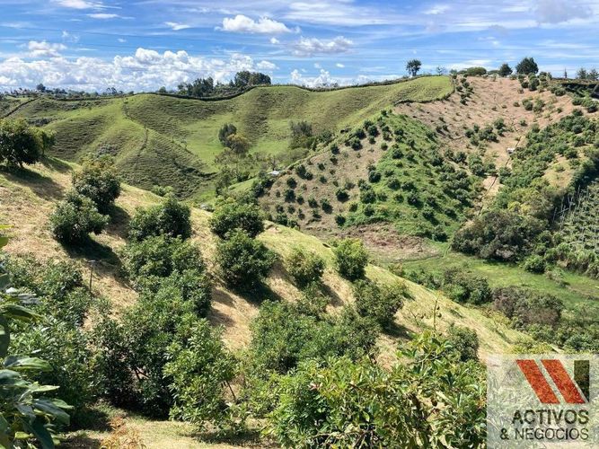 Finca en venta en Chocho Mayo, Marinilla, 36000 m² · foto 12 de 24