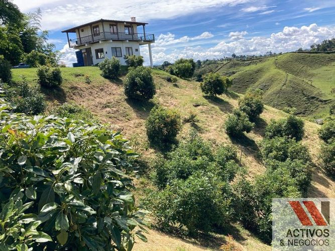 Finca en venta en Chocho Mayo, Marinilla, 36000 m² · foto 13 de 24