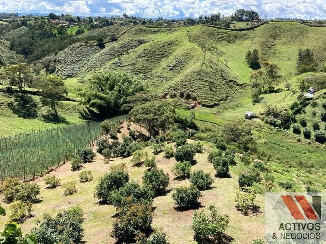 Finca en venta en Chocho Mayo, Marinilla, 36000 m² · foto 15 de 24